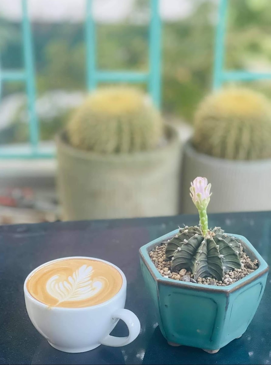 Ants Cafe ( Tiệm Cà Phê Kiến)-9